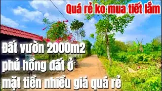 Nợ nần tùm lum buộc lòng bán rẻ đất vườn 2000m2 phủ hồng đất ở mặt tiền nhiều giá ngợp cần bán gấp
