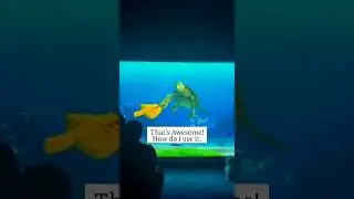 EXPERIMENT WITH FOAM FINGER | Turtle talk with crush.