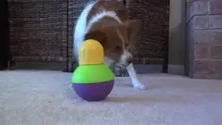 StarMark Bob-A-Lot Interactive Dog Toy