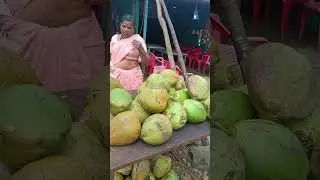 #nariyal #water #lady#talaiva #hardwork #100rs #highdemand