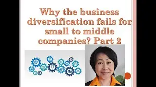 Why the business diversification fails for small to middle companies Part 2