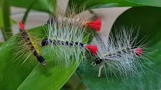 Fly Tying - Woolly Worm