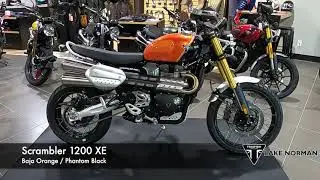 Moto Model of the Day: Triumph Scrambler 1200 XE🧨