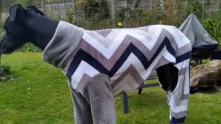DIY Dog Pyjamas // Teddy bear fleece is so soft!