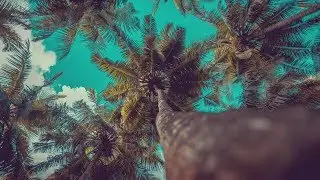 dancehall riddim instrumental 2019 - 