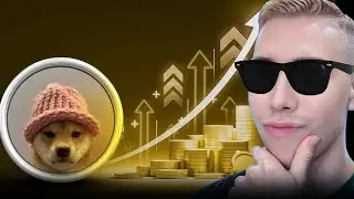 Buy $WIF DogWifHat for a Clean 10x