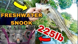 LIFTING HEAVY WEIGHTS CHALLENGE TO CATCH MORE FISH ? (IT WORKED!)