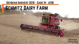 Schmitz Dairy Farm - Soybean Harvest - Case IH 6130