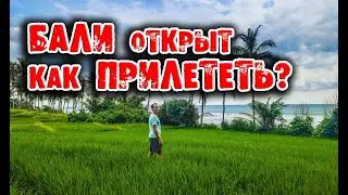 Прилететь на Бали в карантин как прилететь на бали виза бали, перелет на бали в карантин бали открыт