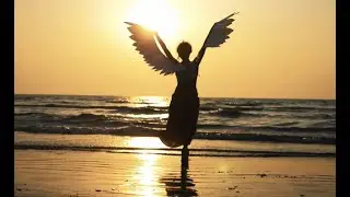 ✨ANGELS ARE NEAR ✨ Next Steps Forward & The Answer To Tomorrow's Question