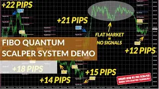 Fibo Quantum Scalper System Demo - 6 Easy Wins +289 Pips Total Profit