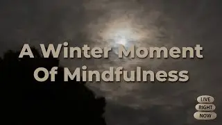 A Winter Moment of Mindfulness | Finding Peace Beneath a Clouded Moon