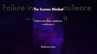 The 7 Success Mindset Principles