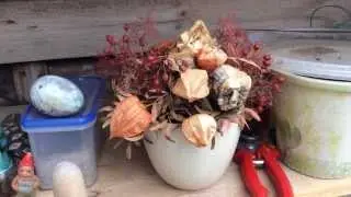 Ipad Air macro video test 1080p