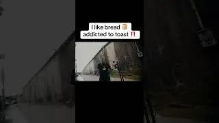 Я люблю хлеб, а тосты просто обожаю 🍞 #gravediggaquez #hbgcourt