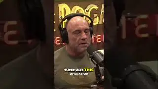 Shocking Revelation  Jeffrey Epstein and the High Profile Scandal Unveiled