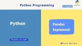 Pandas in Python | Series / Data-frames Explained | Techmaima
