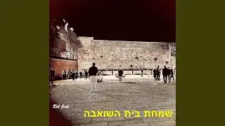 Menucha V'Simcha (Carlebach)