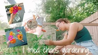 I tried chaos gardening...