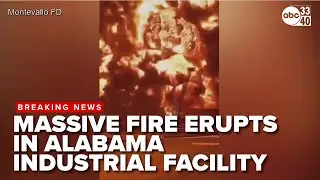 'It engulfed the whole area': Firefighters react to massive explosion at Alabama Industrial Facilty