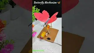 🦋 DIY Butterfly Mechanism | Motorized Butterfly | #SchoolProject #ScienceProject #ButterflyMechanism