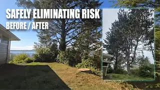 Netarts Bay Hazard Tree Removal #beforeandafter