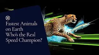 Fastest Animals on Earth 🌎 &ndash; 