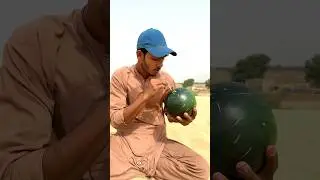 Extracting Watermelon 🍉 and Drinking Juice 🥤 with Straw #watermelonjuice #survival #campping #asmr