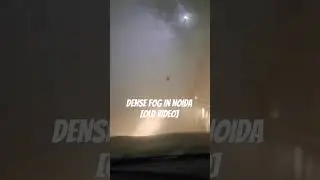 Viral : DENSE FOG IN NOIDA | CAR DRIVING | #ytshort #noidavlogs #noida #sector18 #noidaextension