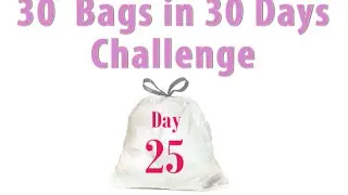 30 Bags in 30 Days || Declutter Challenge || Day 25