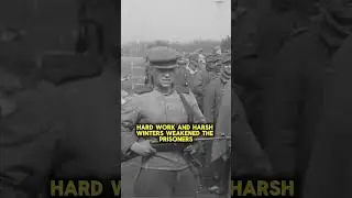 What was life like for German officers in Soviet captivity #shorts