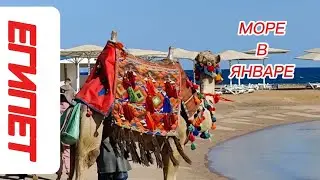 МОРЕ В ЯНВАРЕ. ЕГИПЕТ ОТЕЛЬ WHITE VALLEY PALACE 4*ХУРГАДА