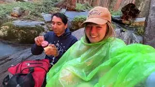 Hiking the Congress Trail in Sequoia National Park and Rain in Tent