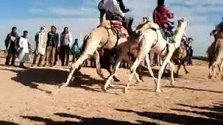 المنيعة__82__سباق الجمال