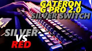 gateron g pro 2.0 silver🥈vs gateron red🛑 | asmr comparison ⚖️