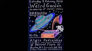 Algis Fediajevas - Nežinia, Live at Lincoln Weird Garden, UK 2019