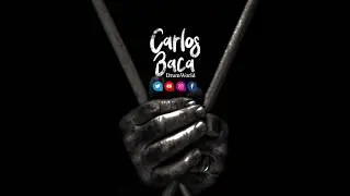 Baquetas Escobillas Vic Firth Tw11
