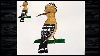 How to Draw hoopoe step by step // Hoopoe bird drawing