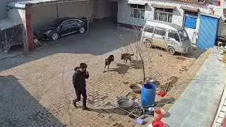 Try Not To Laugh Funny Videos - Funny Moments Of The Year Compilation 😆
