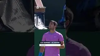 When Tennis Is Interrupted By BEES 😳🐝