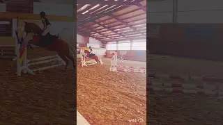 Springreiten #charlotteluisa #horse #pferde #tunier