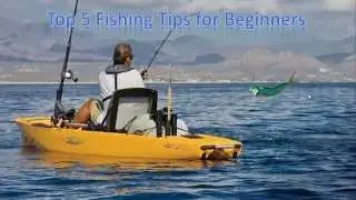 Top 5 Fishing Tips for Beginners
