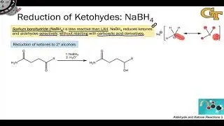 07.06 Sodium Borohydride