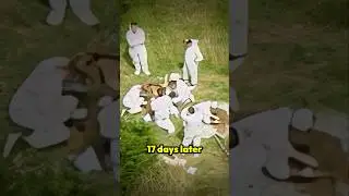 The Heartbreaking Story of Sarah Payne | UK True Crime