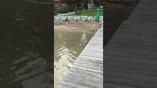Used Piranha Mini Dredge for Sale + 400' Suction Hose For Sale - PS135