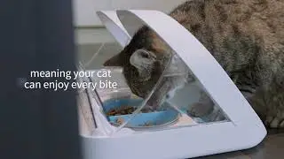 SureFlap Microchip Pet Feeder