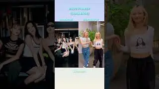 JISOO|| Flower challenge blackpink and babymonster doing 🌸 #shorts #blackpink #baemon #trending