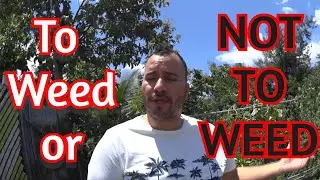 5 METHODS FOR WEED CONTROL