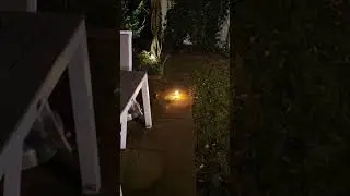diy firework