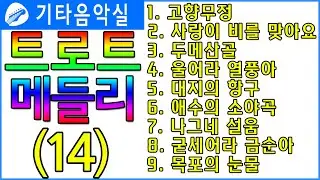 트로트기타/고향무정/사랑이비를맞아요/두메산골/울어라열풍아/대지의항구/애수의소야곡/나그네설움/굳세어라금순아/목포의눈물/트로트메들리(14)#기타음악실